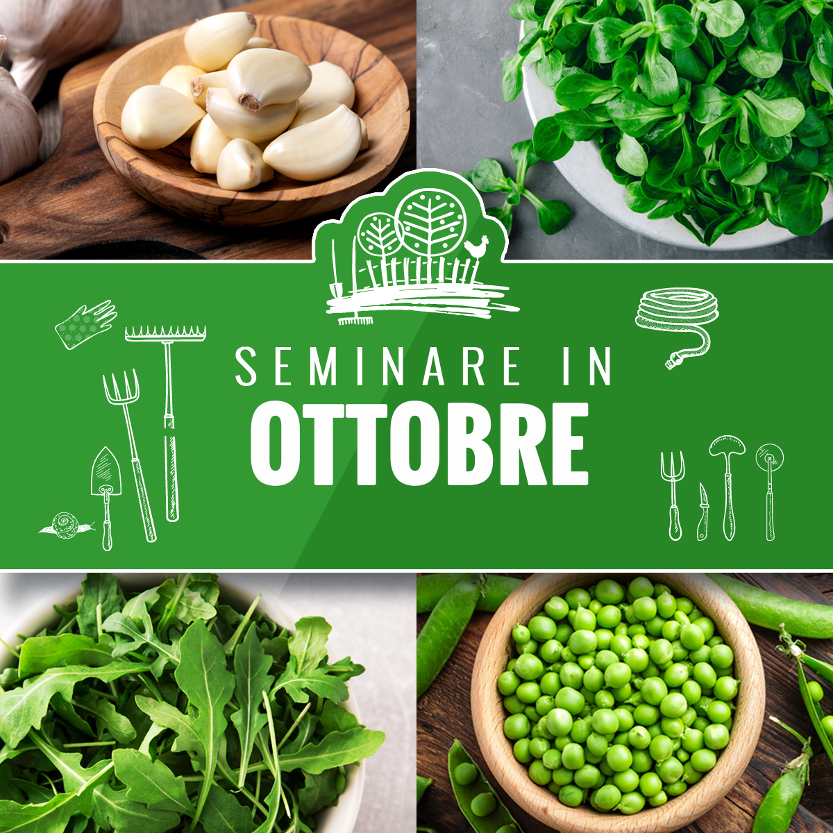 201004Cosaseminare_ottobre Cifo 201004Cosaseminare_ottobre Cifo