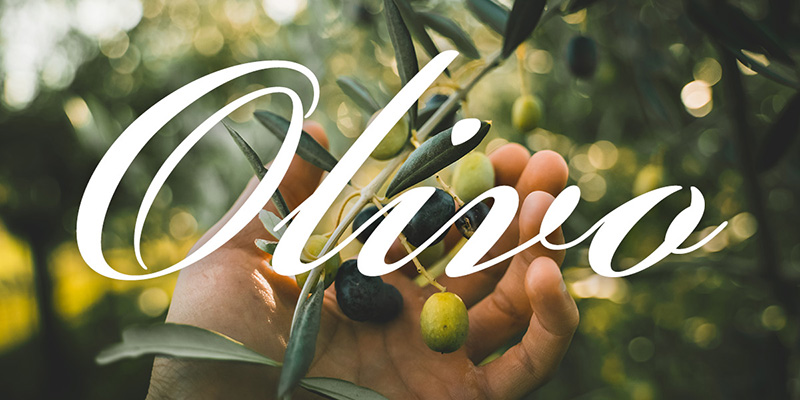 sostenere-rese-qualita-olivo