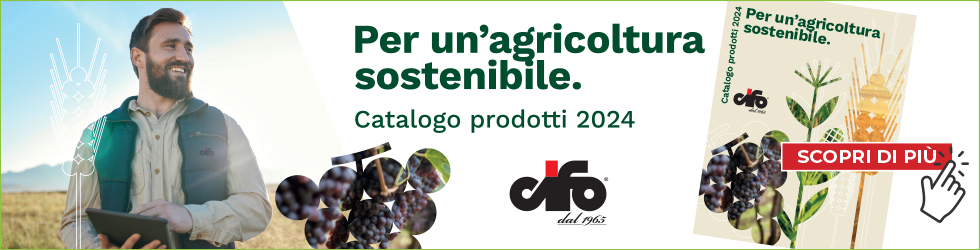 Catalogo prodotti 24