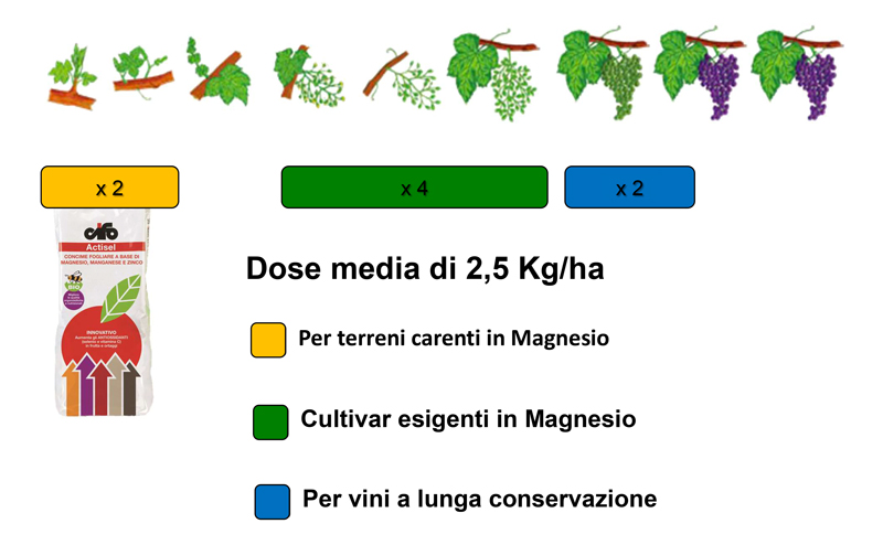 magnesio e zolfo sulla vite