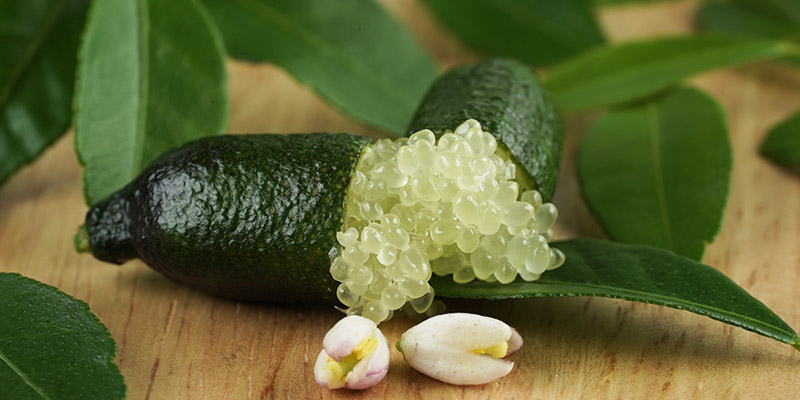 Finger lime: come usare il caviale limone nelle tue ricette