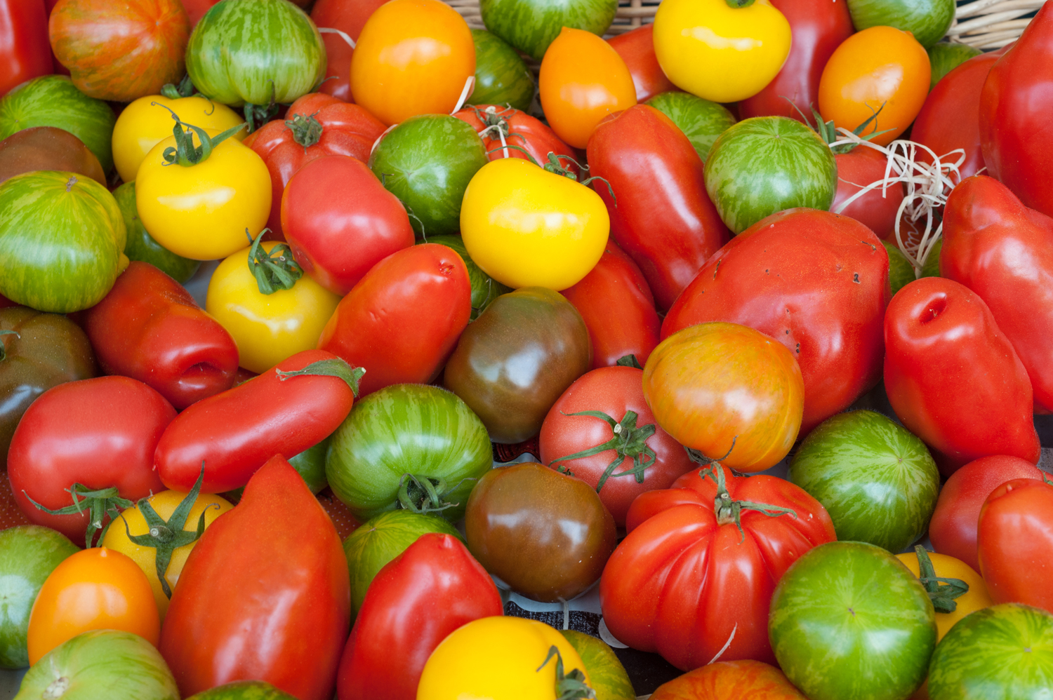 pomodoro