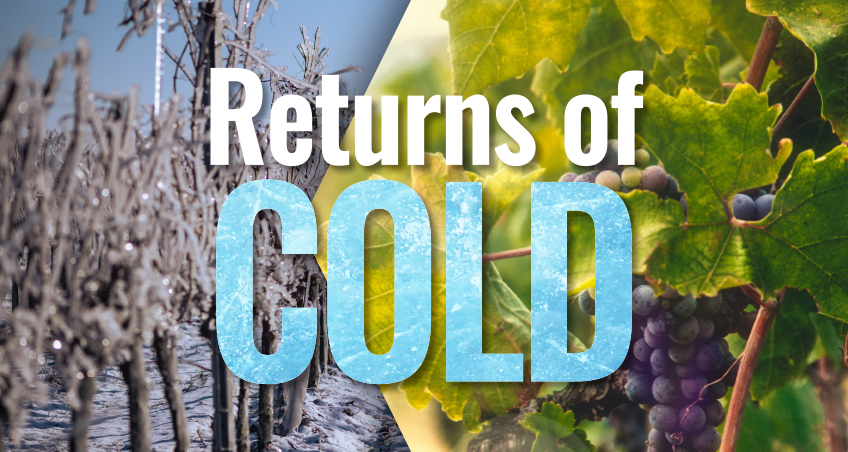 RETURNS-OF-COLD