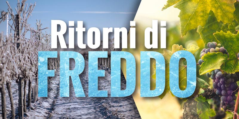 ritorni di freddo in viticoltura