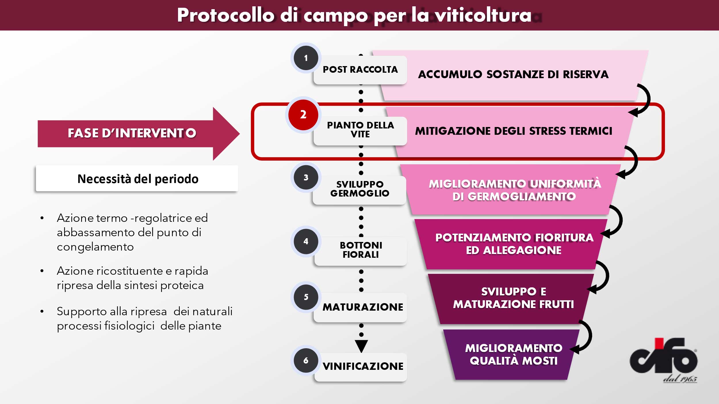 ritorni di freddo in viticoltura