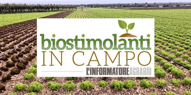 biostimolanti-in-campo