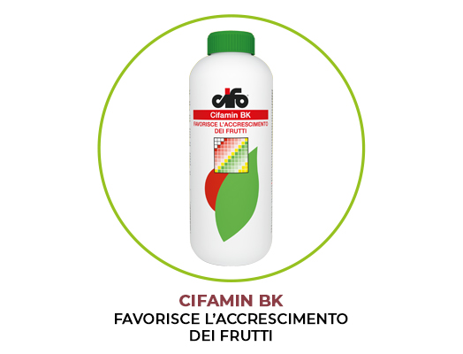 cifamin-bk-olivo-nutrizione-bilanciata