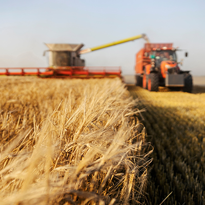 cifo-agricoltura