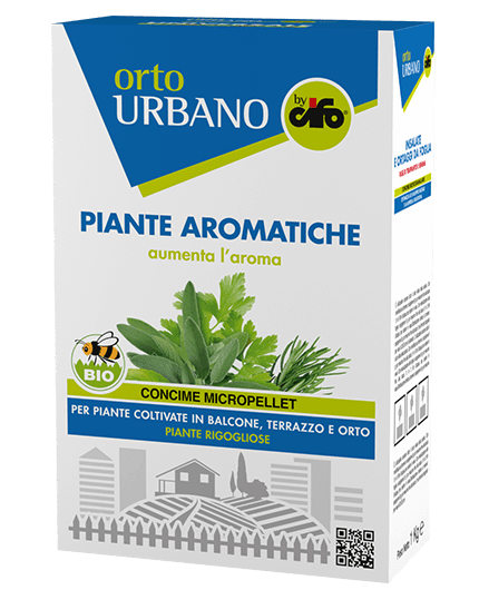 orto-urbano-peperoncini