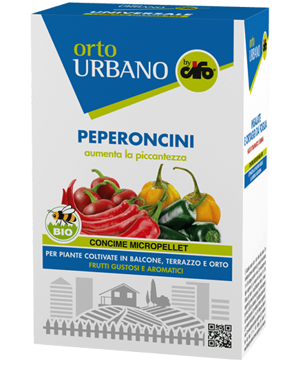 orto-urbano-peperoncini