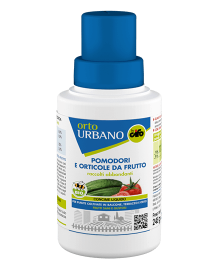 POMODORI E ORTICOLE DA FRUTTO