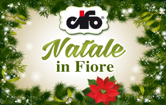 Immagini Natale Jpeg.Natale In Fiore Cifocifo