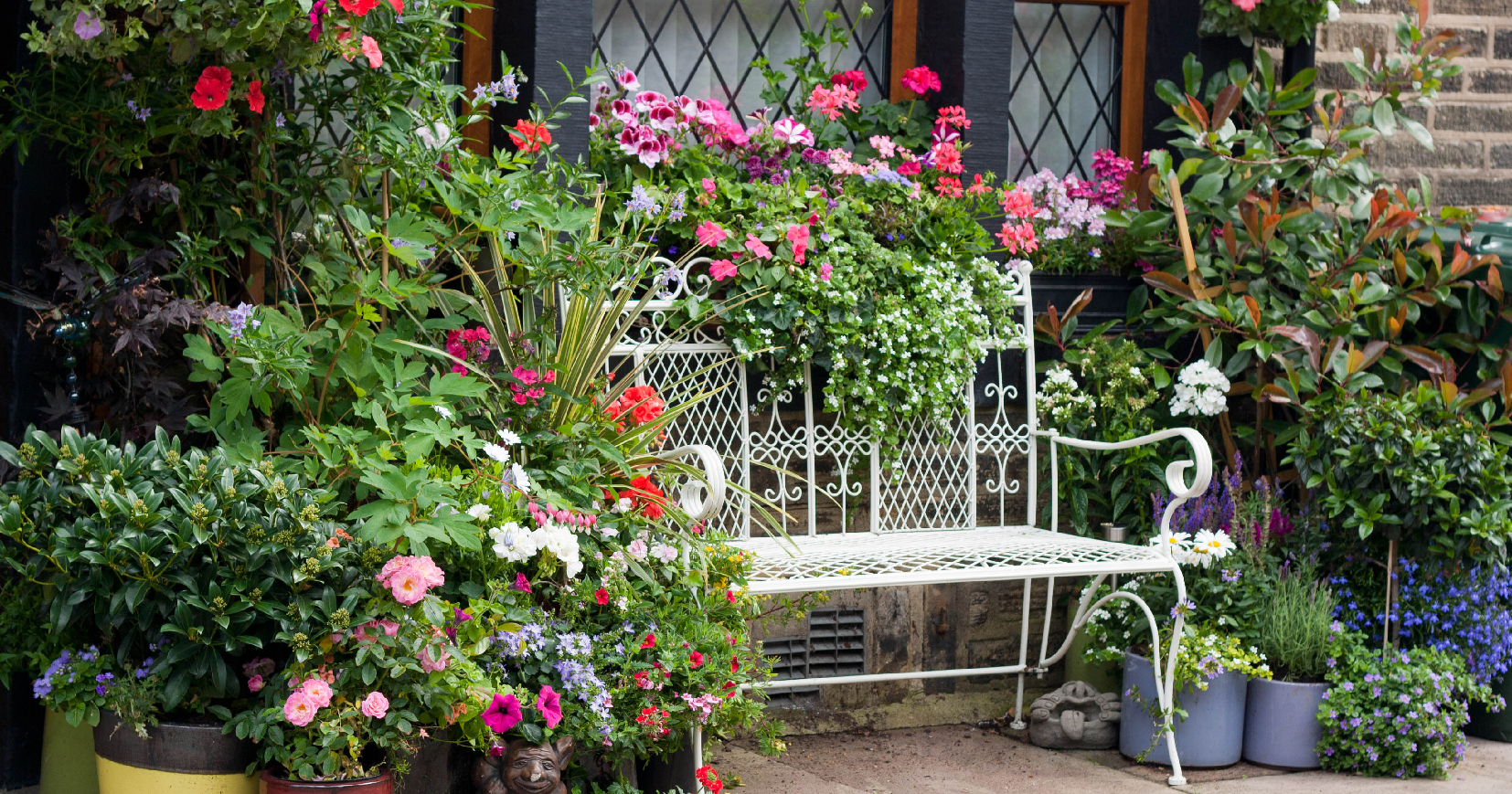 5 piante da balcone o terrazzo resistenti al caldo