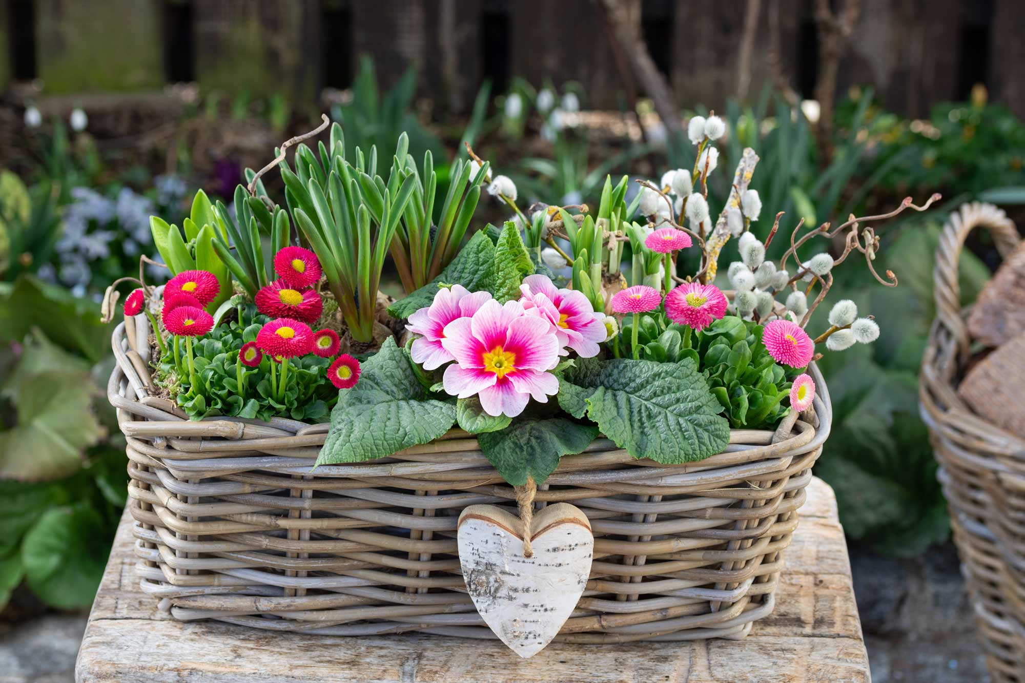 fioriture primaverili