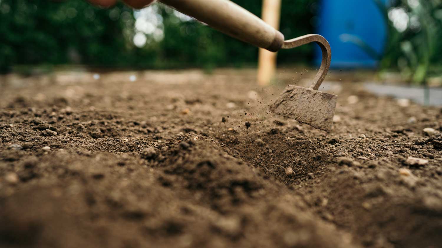 fertilità del terreno