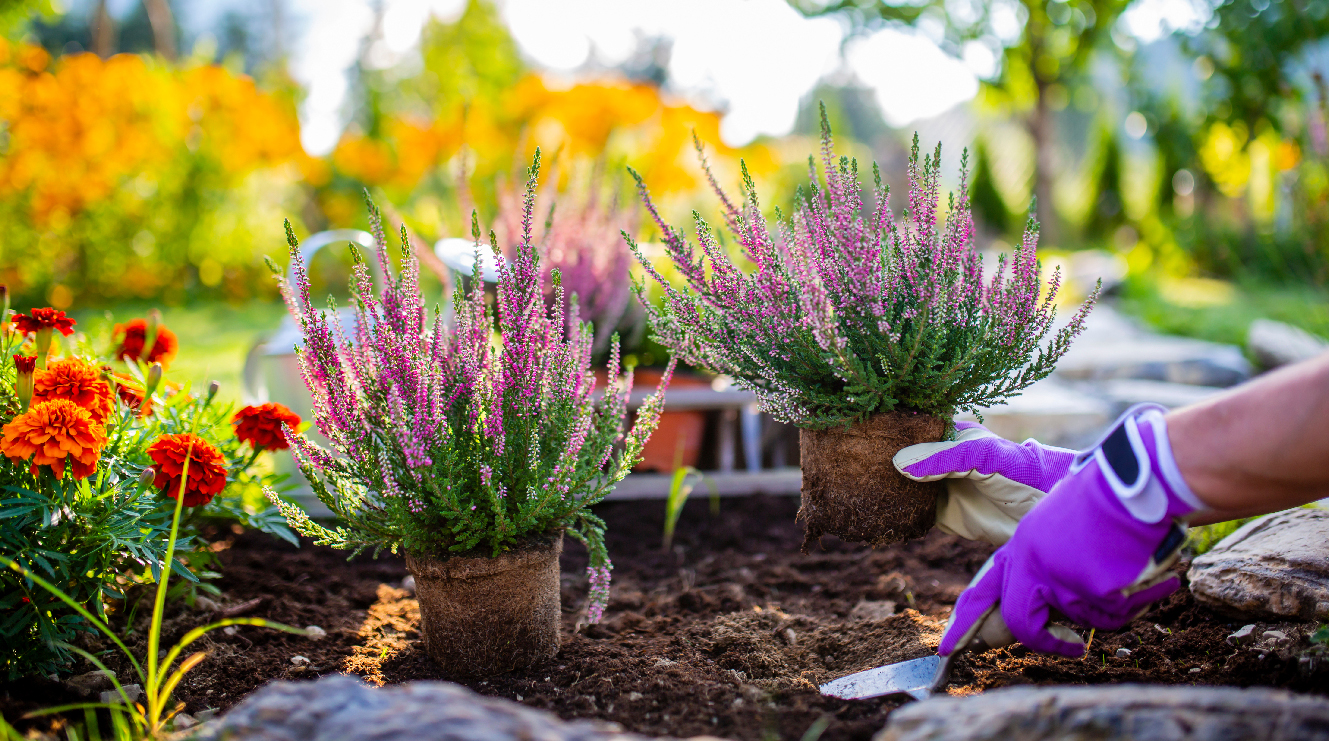 giardino sano