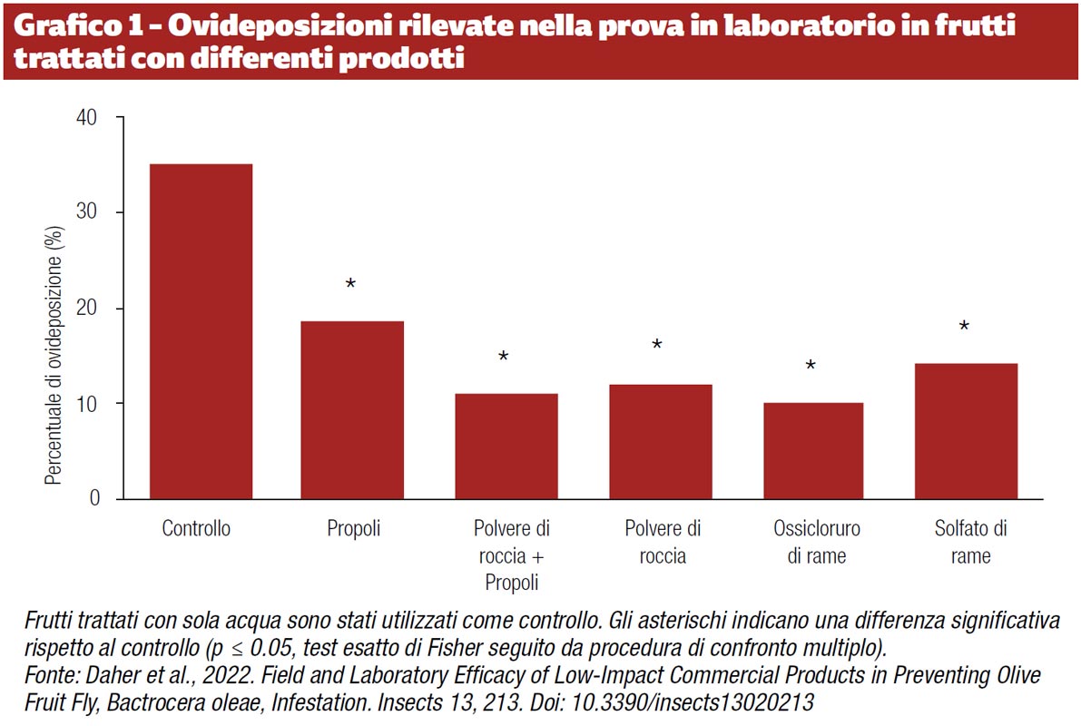 Mosca-dell'olivo-Soluzioni-naturali-a-basso-impatto-ambientale