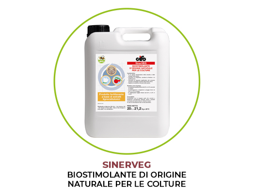 sinerveg-olivo-nutrizione-bilanciata
