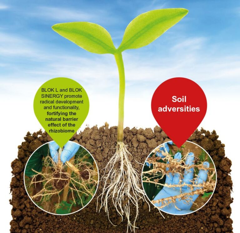 Growing in exhausted soils: Cifo’s BIOREGULATORS for plants’ health and ...