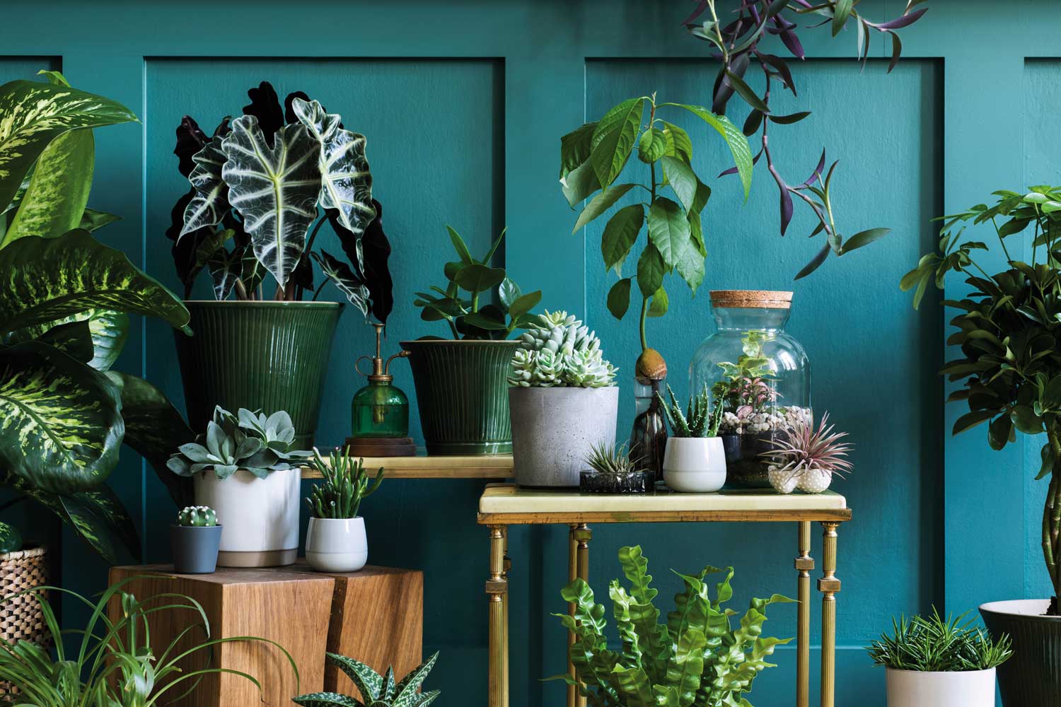 verde indoor