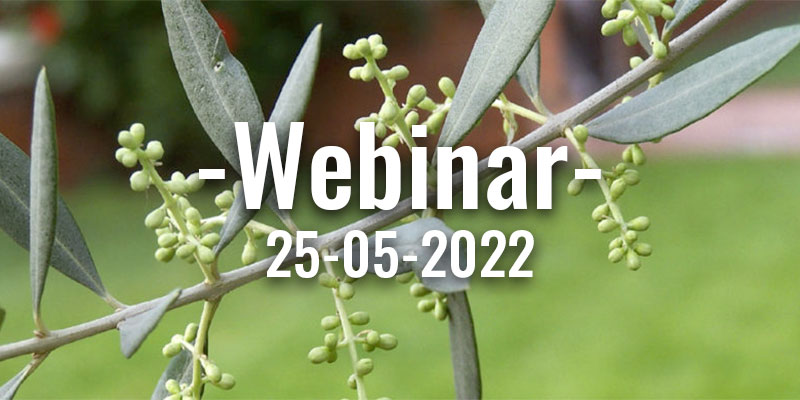 webinar olivo