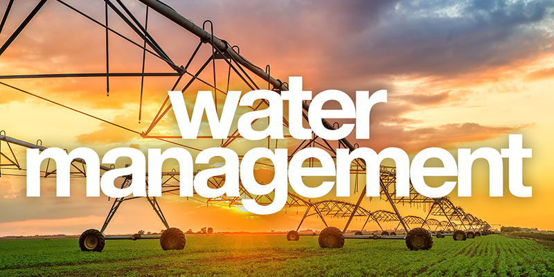 Water management, evapotraspirazione sotto controllo grazie a Cifo