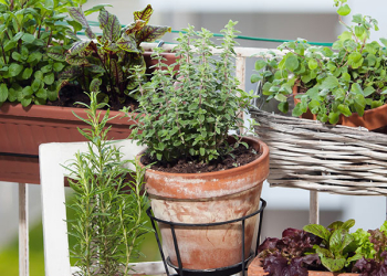 Orto-balcone