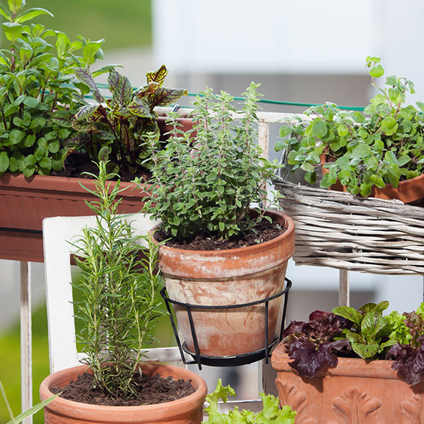 Orto-balcone