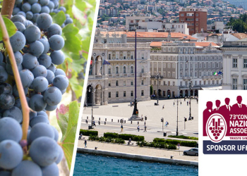 assoenologi_trieste