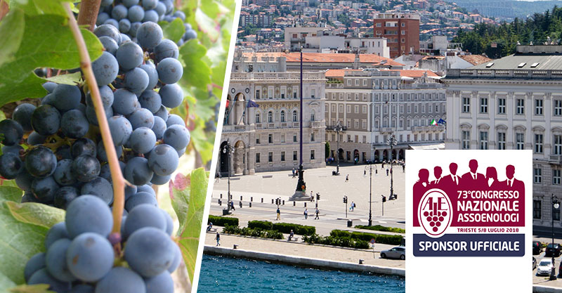 assoenologi_trieste assoenologi_trieste