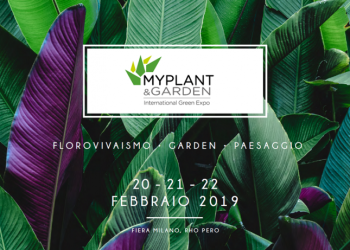 Myplant-2019-1-696x461