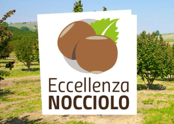 eccellenza nocciolo