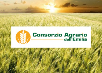 pianeta grano 2019