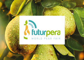 Cifo-torna-a-Futurpera