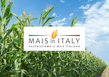 Cifo a Mais in Italy 2019