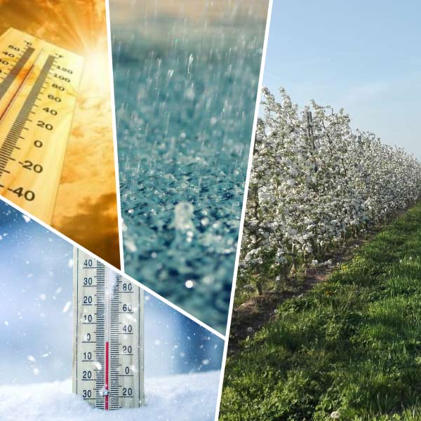 articolo-cambiamenti-climatici articolo-cambiamenti-climatici