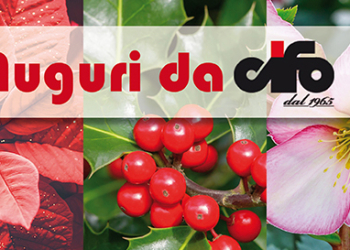 Cifo_Newsletter nat