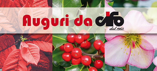 Cifo_Newsletter nat Cifo_Newsletter nat