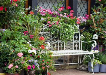5 piante da balcone o terrazzo resistenti al caldo