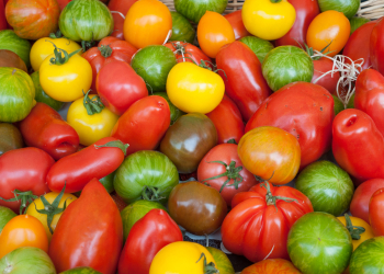 pomodoro