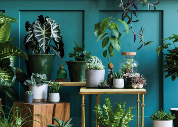 verde-indoor verde-indoor