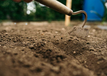 fertilità del terreno