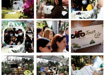 foto cifo tour verona