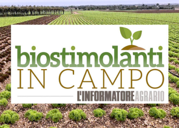 biostimolanti-in-campo