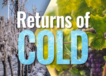 RETURNS-OF-COLD