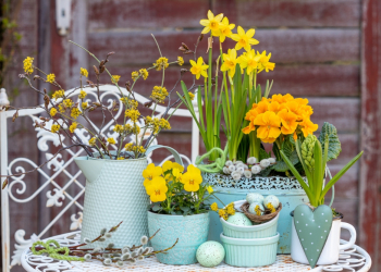 Pasqua