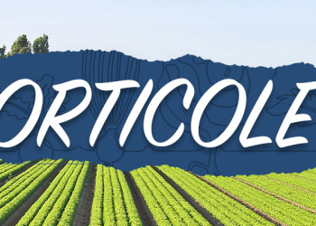 orticole-ridurre-gli-stress