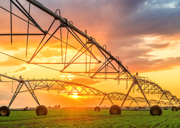 Automated,Farming,Irrigation,Sprinklers,System,On,Cultivated,Agricultural,Landscape,Field