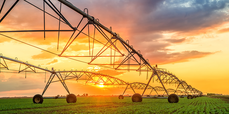 Automated,Farming,Irrigation,Sprinklers,System,On,Cultivated,Agricultural,Landscape,Field Automated,Farming,Irrigation,Sprinklers,System,On,Cultivated,Agricultural,Landscape,Field