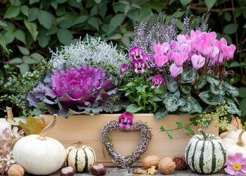 Autunno